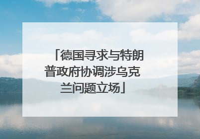 德国寻求与特朗普政府协调涉乌克兰问题立场