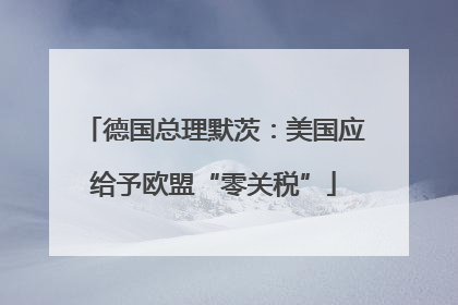 德国总理默茨：美国应给予欧盟“零关税”