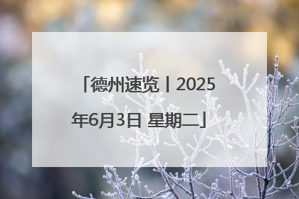 德州速览丨2025年6月3日 星期二