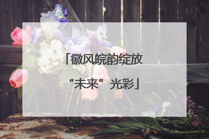 徽风皖韵绽放“未来”光彩