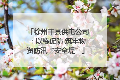 徐州丰县供电公司：以练促防 筑牢物资防汛“安全堤”