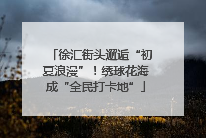 徐汇街头邂逅“初夏浪漫”！绣球花海成“全民打卡地”