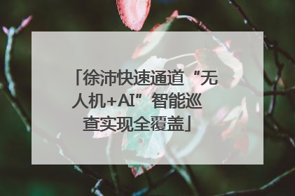 徐沛快速通道“无人机+AI”智能巡查实现全覆盖