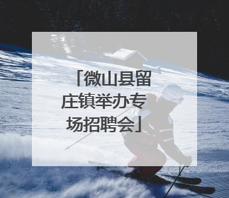 微山县留庄镇举办专场招聘会