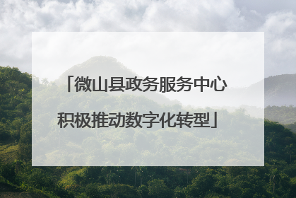 微山县政务服务中心积极推动数字化转型
