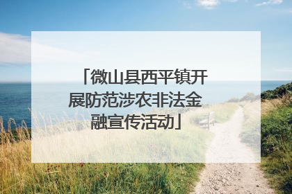 微山县西平镇开展防范涉农非法金融宣传活动