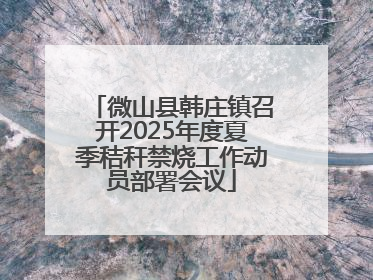 微山县韩庄镇召开2025年度夏季秸秆禁烧工作动员部署会议