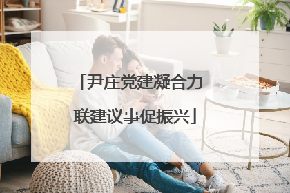 尹庄党建凝合力 联建议事促振兴