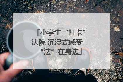 小学生“打卡”法院 沉浸式感受“法”在身边