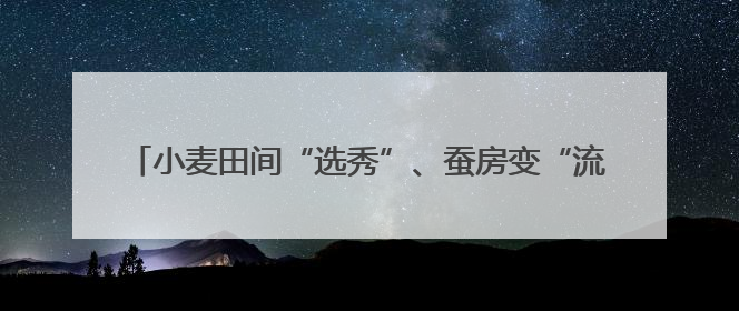 小麦田间“选秀”、蚕房变“流水线”……三夏收获正在进行