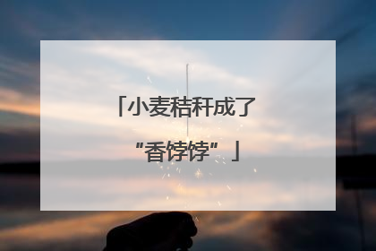 小麦秸秆成了“香饽饽”