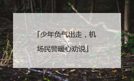 少年负气出走，机场民警暖心劝说