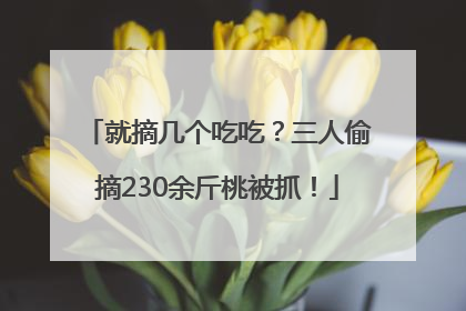 就摘几个吃吃？三人偷摘230余斤桃被抓！