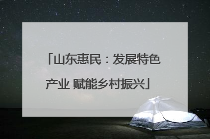 山东惠民：发展特色产业 赋能乡村振兴