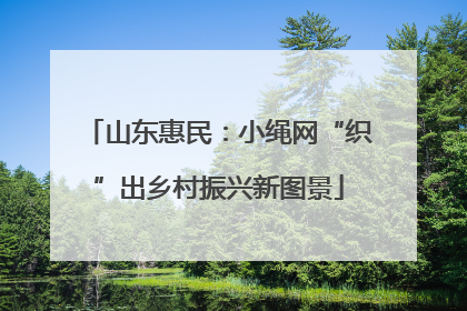 山东惠民：小绳网“织”出乡村振兴新图景