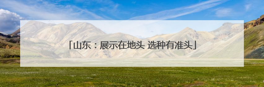 山东：展示在地头 选种有准头