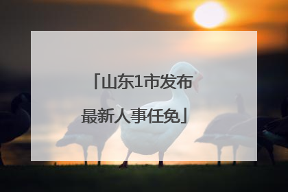 山东1市发布最新人事任免