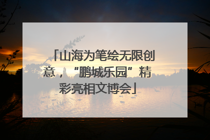 山海为笔绘无限创意，“鹏城乐园”精彩亮相文博会