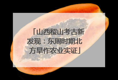 山西稷山考古新发现：东周时期北方旱作农业实证