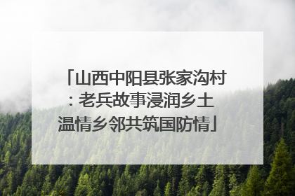 山西中阳县张家沟村：老兵故事浸润乡土 温情乡邻共筑国防情
