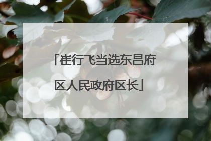 崔行飞当选东昌府区人民政府区长