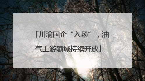 川渝国企“入场”，油气上游领域持续开放
