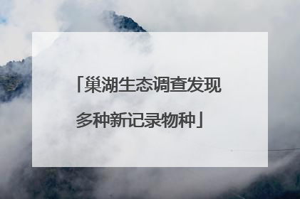 巢湖生态调查发现多种新记录物种