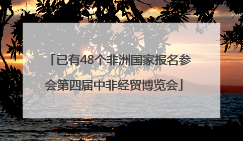 已有48个非洲国家报名参会第四届中非经贸博览会