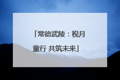 常德武陵：税月童行 共筑未来