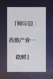 师宗县：香葱产业一路鲜