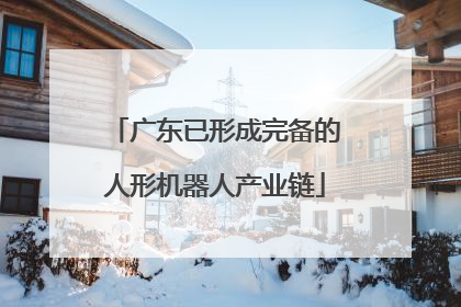 广东已形成完备的人形机器人产业链