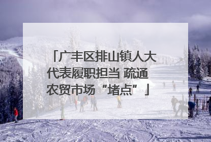 广丰区排山镇人大代表履职担当 疏通农贸市场“堵点”