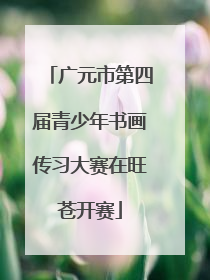 广元市第四届青少年书画传习大赛在旺苍开赛