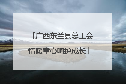 广西东兰县总工会情暖童心呵护成长
