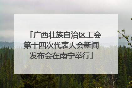 广西壮族自治区工会第十四次代表大会新闻发布会在南宁举行