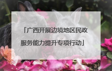 广西开展边境地区民政服务能力提升专项行动