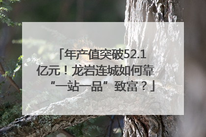 年产值突破52.1亿元！龙岩连城如何靠“一站一品”致富？