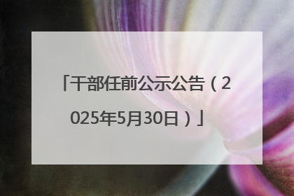 干部任前公示公告（2025年5月30日）