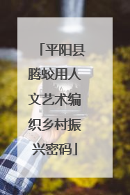 平阳县腾蛟用人文艺术编织乡村振兴密码