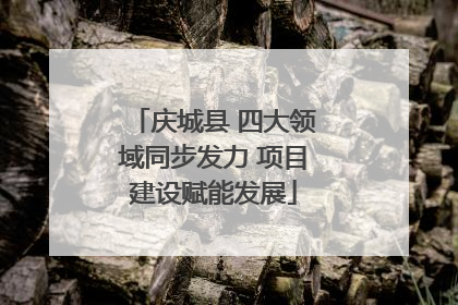 庆城县 四大领域同步发力 项目建设赋能发展
