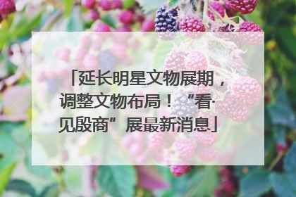 延长明星文物展期，调整文物布局！“看·见殷商”展最新消息
