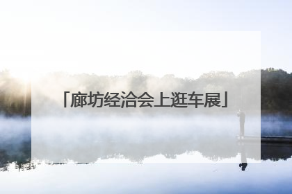 廊坊经洽会上逛车展