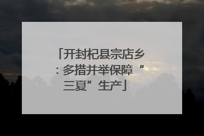 开封杞县宗店乡：多措并举保障“三夏”生产