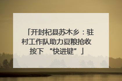 开封杞县苏木乡：驻村工作队助力夏粮抢收按下 “快进键”