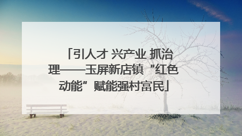 引人才 兴产业 抓治理——玉屏新店镇“红色动能”赋能强村富民