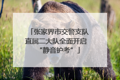 张家界市交警支队直属二大队全面开启“静音护考”