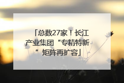 总数27家！长江产业集团“专精特新”矩阵再扩容