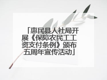 惠民县人社局开展《保障农民工工资支付条例》颁布五周年宣传活动