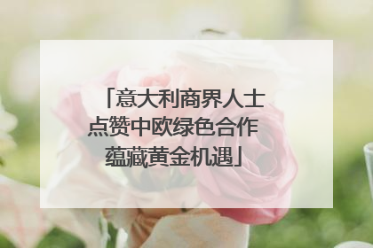 意大利商界人士点赞中欧绿色合作蕴藏黄金机遇