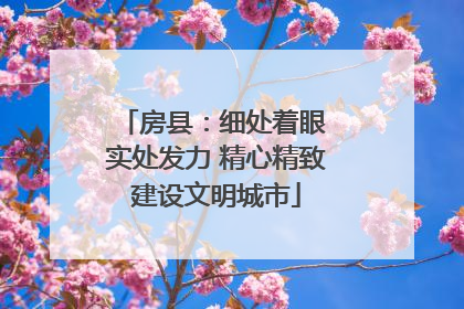 房县：细处着眼 实处发力 精心精致建设文明城市